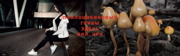 mdpv Касимов