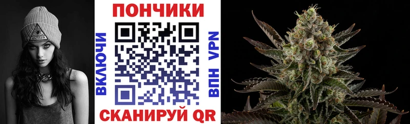 Купить закладки Клинцы Бошки марихуана Ganja